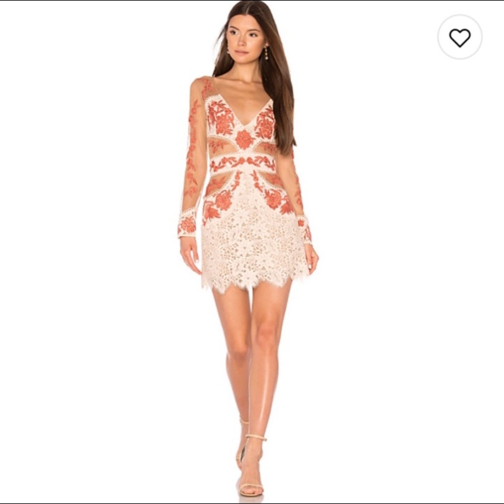 Long Sleeve Sheer Mini Dress